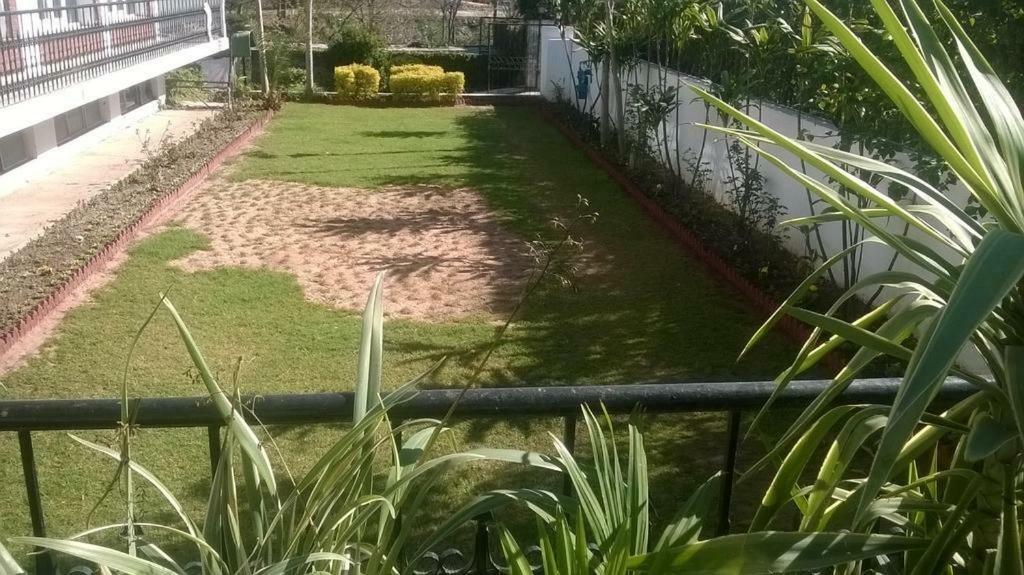 איסלמאבד Mulberry Guest House F-10 מראה חיצוני תמונה